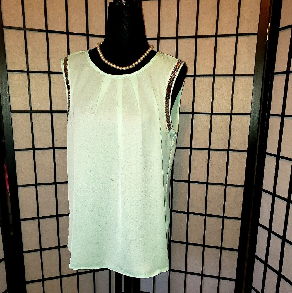GORGEOUS sheer Blouse Mint green